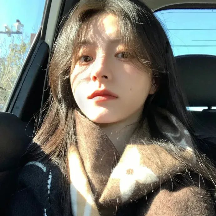 少年讼师纪晓岚